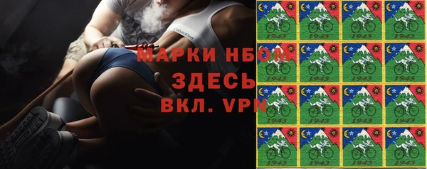 тгк Абаза