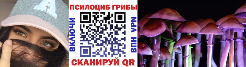 Псилоцибиновые грибы Psilocybe  Енисейск 