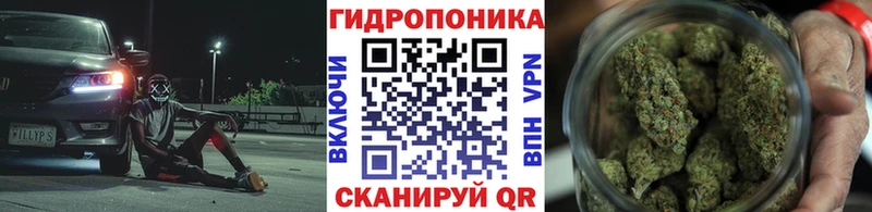как найти кракен как зайти Канабис гибрид Енисейск